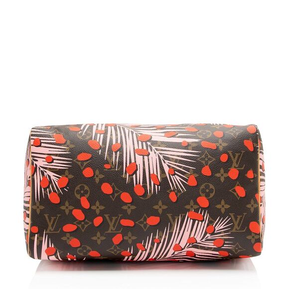 Louis Vuitton Limited Edition Monogram Canvas Jungle Dots Speedy 30 Satchel - Picture 4 of 16